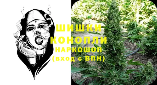 стафф Покачи