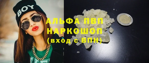 прущая мука Пересвет