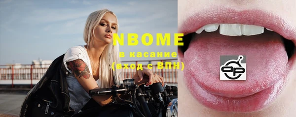 хмурый Пестово