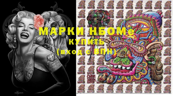 хмурый Пестово