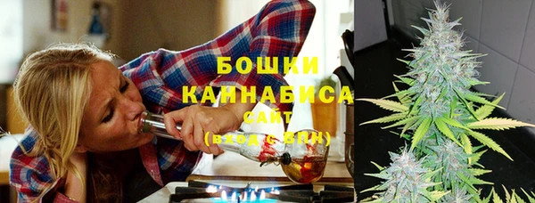 хмурый Пестово