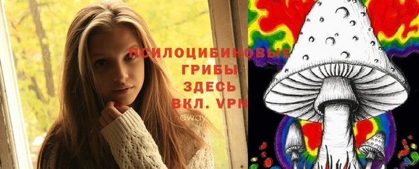 хмурый Пестово