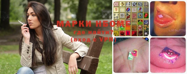 хмурый Пестово