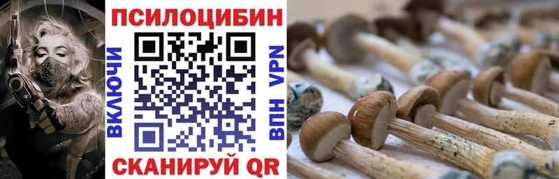 Псилоцибиновые грибы мицелий Семилуки