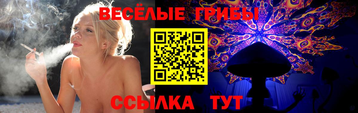 Псилоцибиновые грибы Cubensis  Вход с VPN  Семилуки 