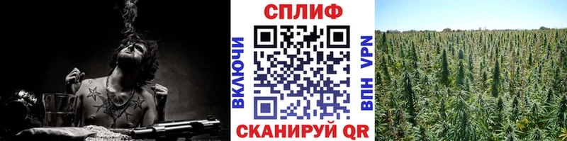 закладки  Семилуки  Бошки марихуана сатива 